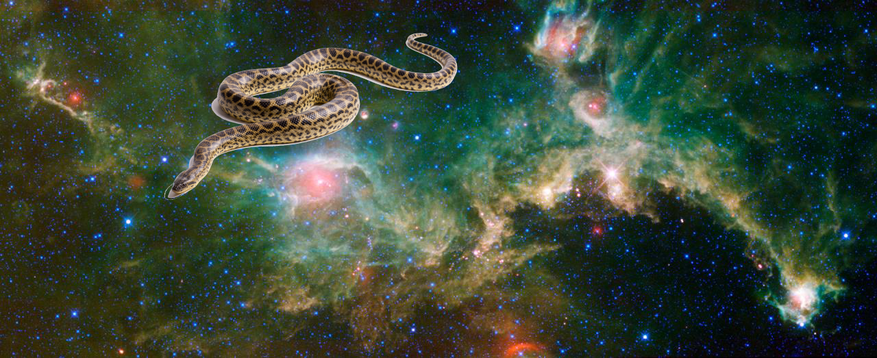 An Unexpected Discovery on Seagull Nebula -- Running with the Big Dog! PIA13111