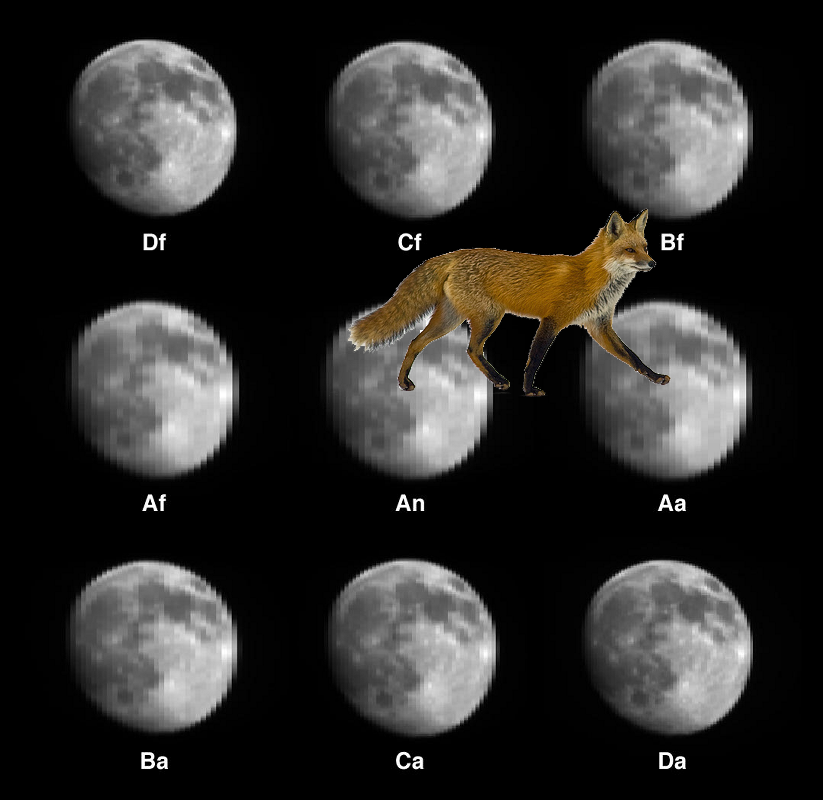 Something Strange + MISR Views the Moon. PIA04327