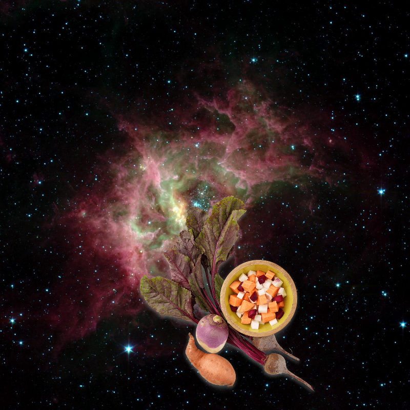 An Unexpected Discovery + Stellar Jewels Shine in New Spitzer Image! PIA05989