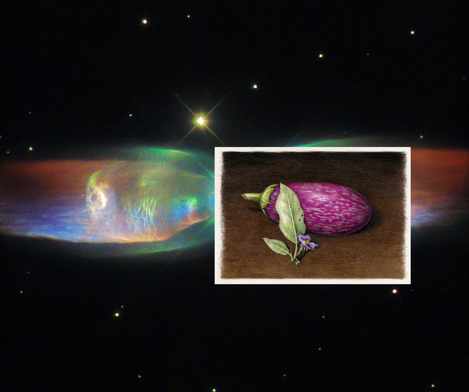 A Mystery | Hubble Sees the Wings of a Butterfly: The Twin Jet Nebula. GSFC_20171208_Archive_e000637