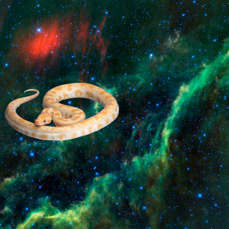 Something Strange @ Menkhib and the California Nebula! PIA13108