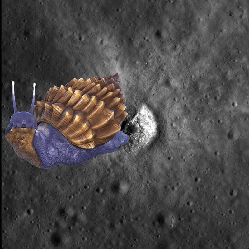 A Mystery on Bright Crater Rays and Boulders. PIA12893