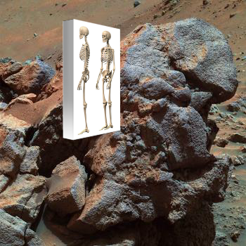 An Unexpected Discovery + Larry Outcrop in False Color. PIA07981