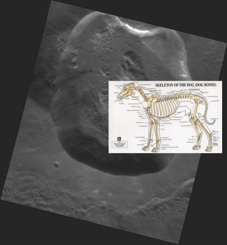 ??? ; Revelations on Mercury! PIA15642