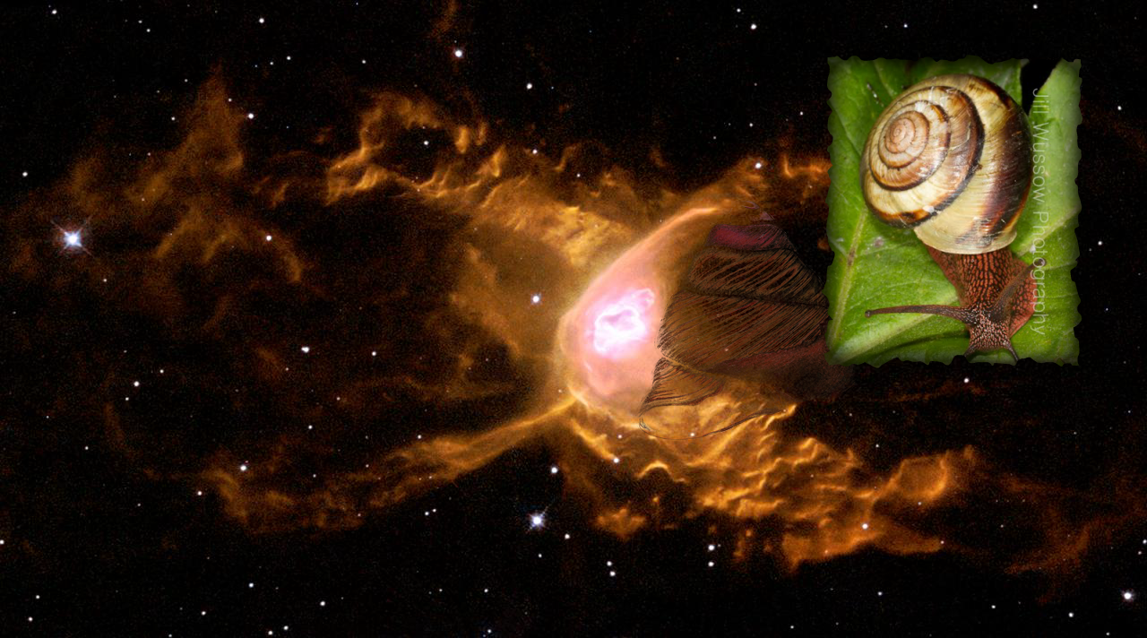 Something Strange, A Mystery + Hubble Spins a Web Into a Giant Red Spider Nebula. GSFC_20171208_Archive_e000195