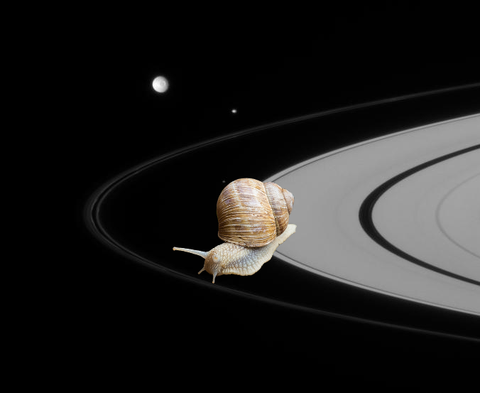 A Mystery | Cluster of Moons PIA09744