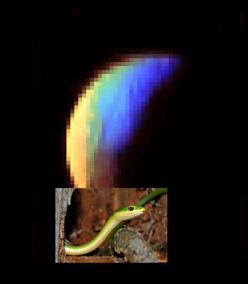 An Unexpected Discovery + VIMS Shows Iapetus Surface Composition! PIA07002