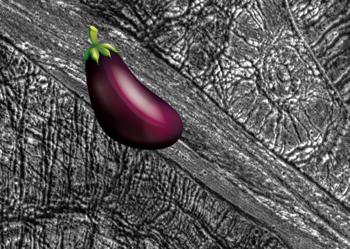 A Mystery on Highly Fractured Dark and Bright Terrain! PIA01616