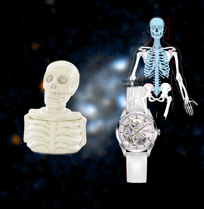 An Unexpected Discovery, An Unexpected Discovery, An Unexpected Discovery ; Galaxy UGC10445. PIA04623