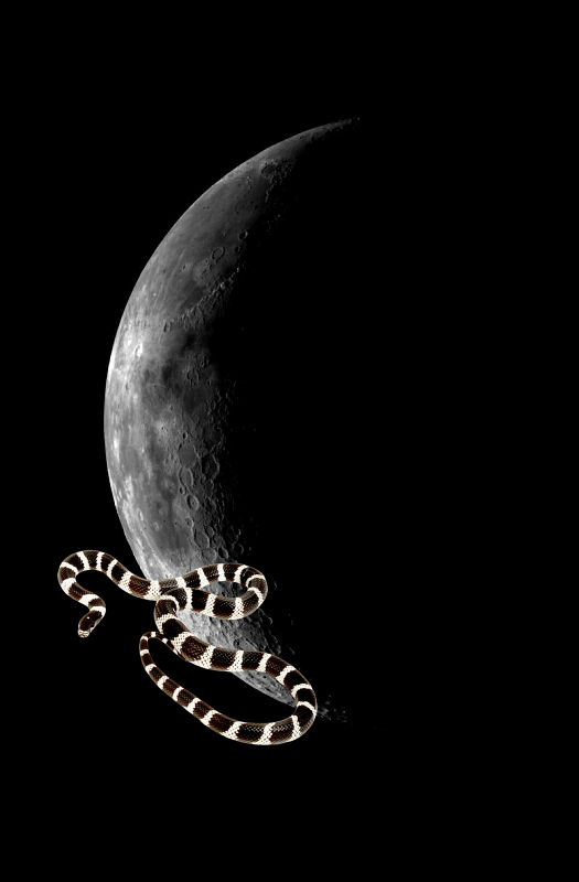 Something Strange ; Moon - Western Near Side PIA00224