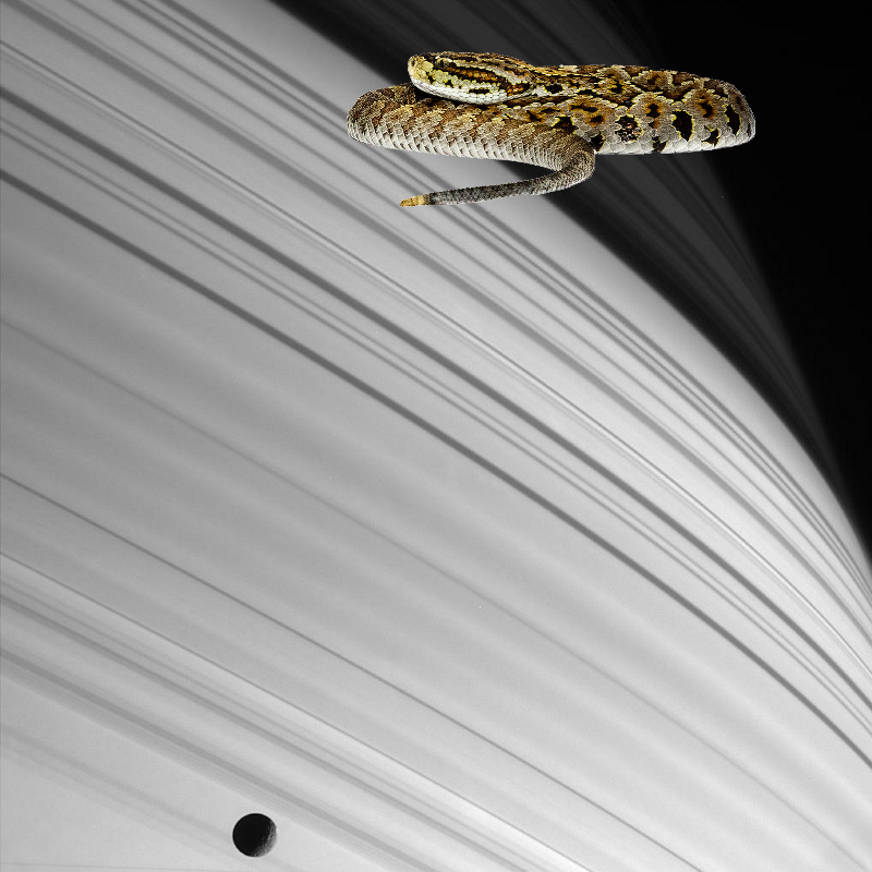 Something Strange @ Sun-striped Saturn PIA06574