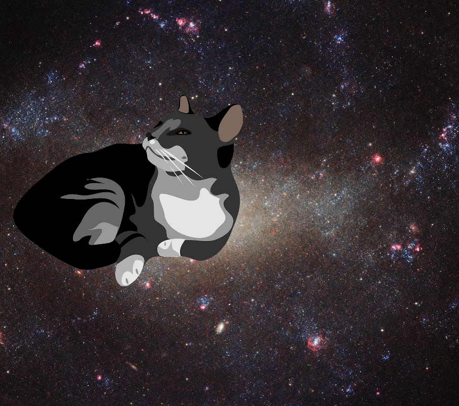 A Mystery on Hubble’s Hunting Dog Galaxy. GSFC_20171208_Archive_e000017