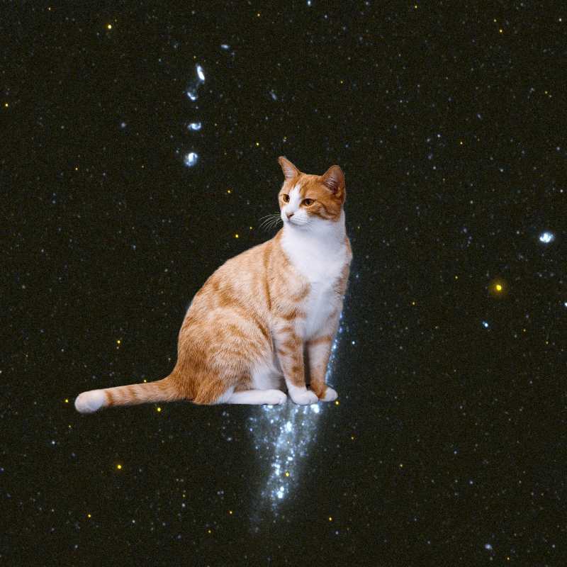 Something Strange | Galaxy NGC 247. PIA04922