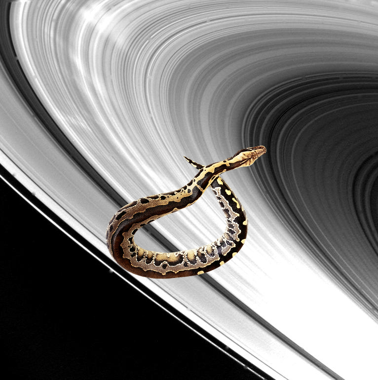 An Unexpected Discovery on Saturn Ring System! PIA02269
