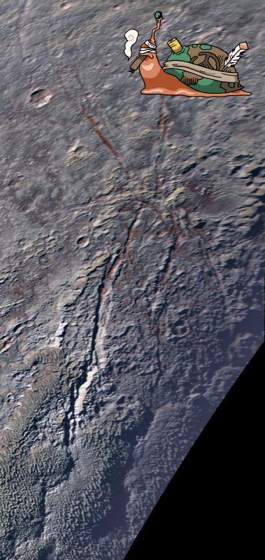 An Unexpected Discovery @ The Icy Spider on Pluto PIA20641