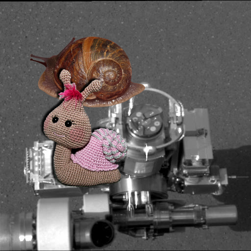 Something Strange, A Mystery – Rat on Mars PIA05194