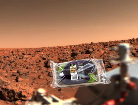 A Mystery ; Bright Summer Afternoon on the Mars Utopian Planitia PIA00569