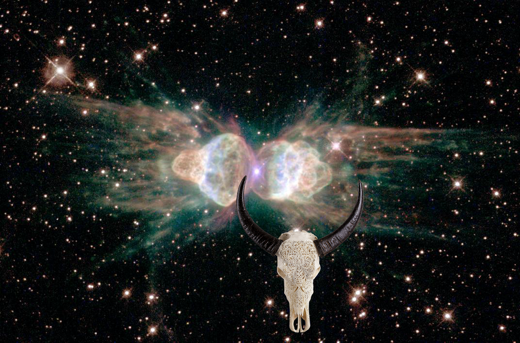 A Mystery | Ant Nebula! PIA04216