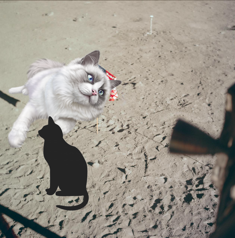 An Unexpected Discovery, Something Strange ; Flag of the U.S. deployed on surface of the Moon! as11-37-5545
