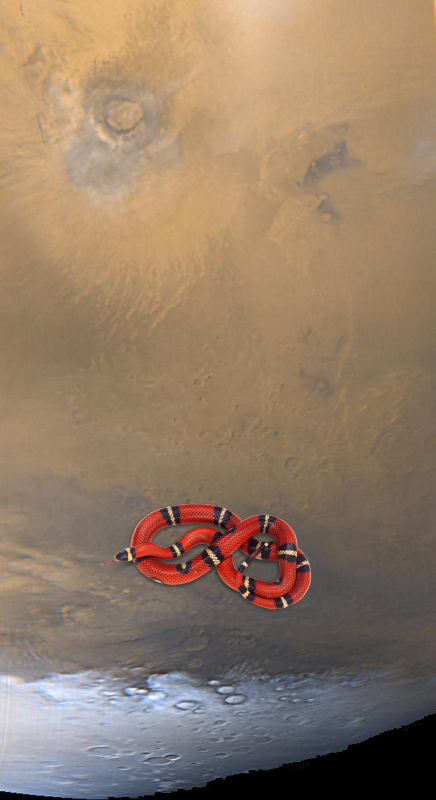 A Mystery + Southern Mars: It Spring!! PIA02096