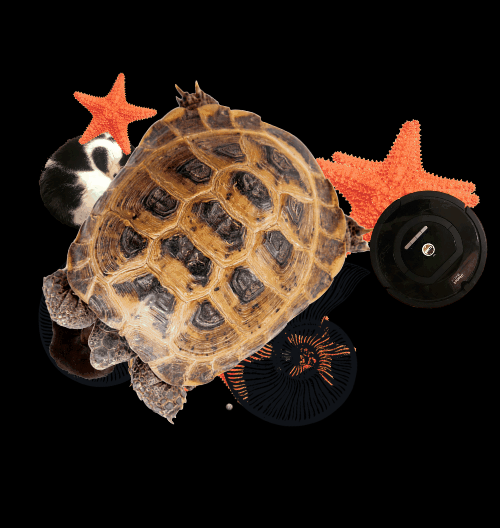 Spinners!