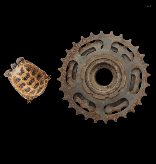 Spinners!