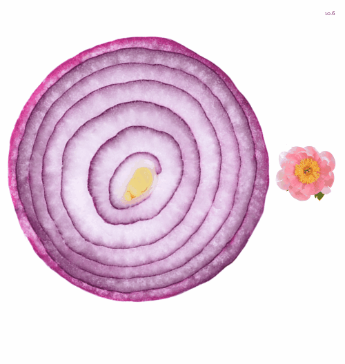 Spinners!