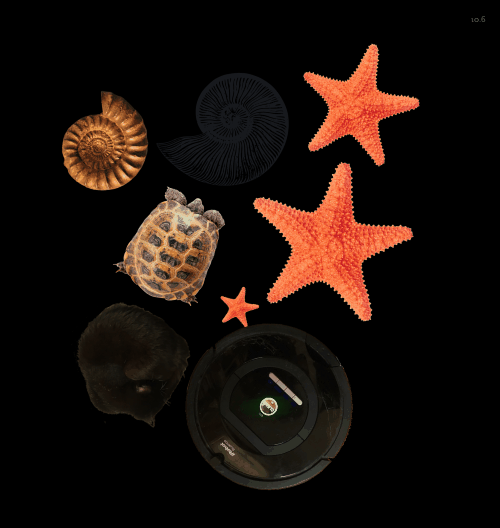 Spinners!