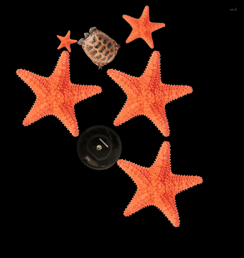 Spinners!