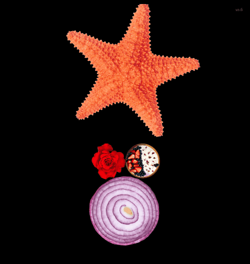 Spinners!