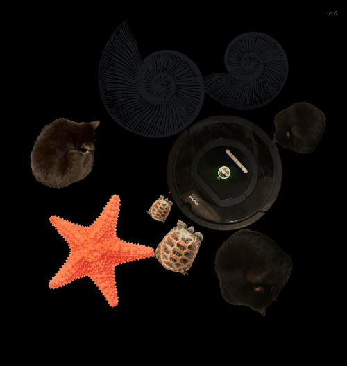 Spinners!