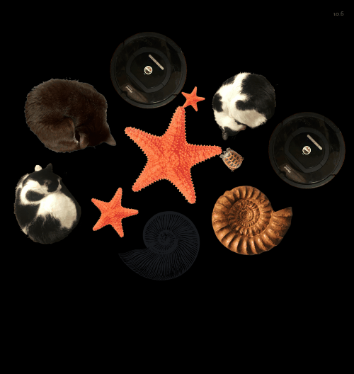 Spinners!