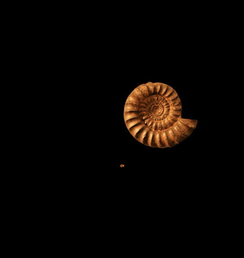 Spinners!