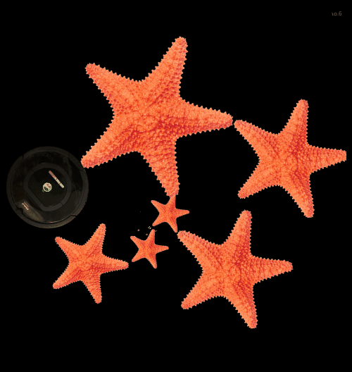 Spinners!
