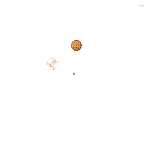 Spinners!