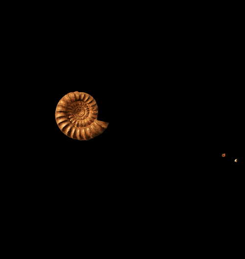 Spinners!