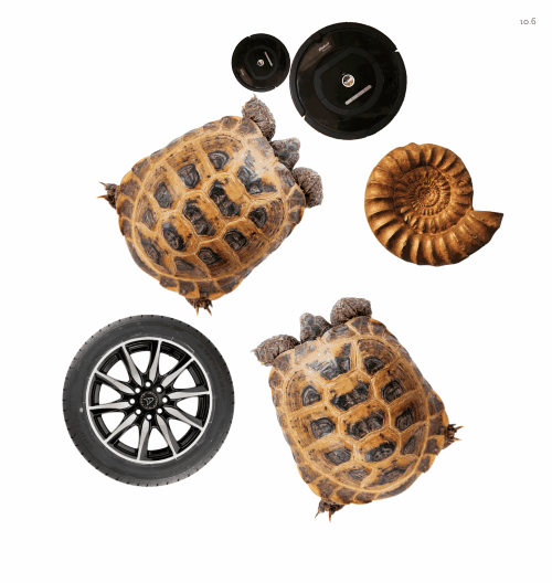 Spinners!