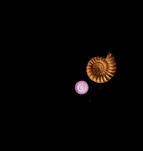 Spinners!