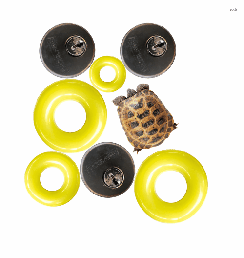 Spinners!