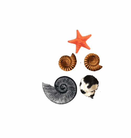 Spinners!