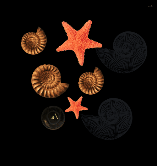 Spinners!