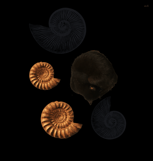 Spinners!