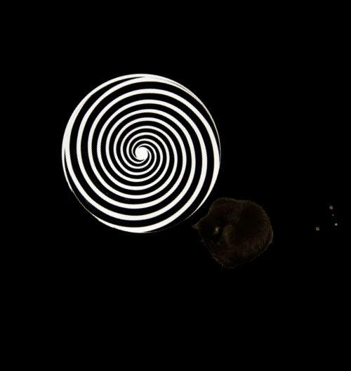 Spinners!