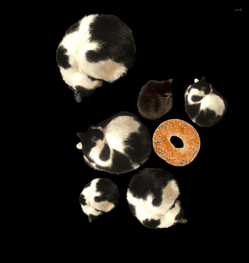 Spinners!