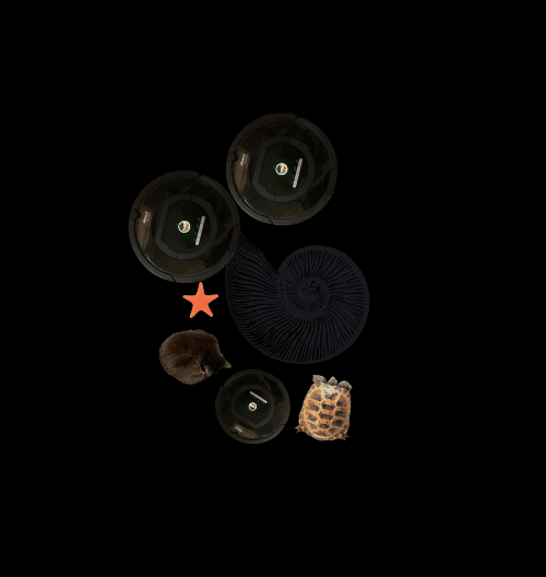 Spinners!