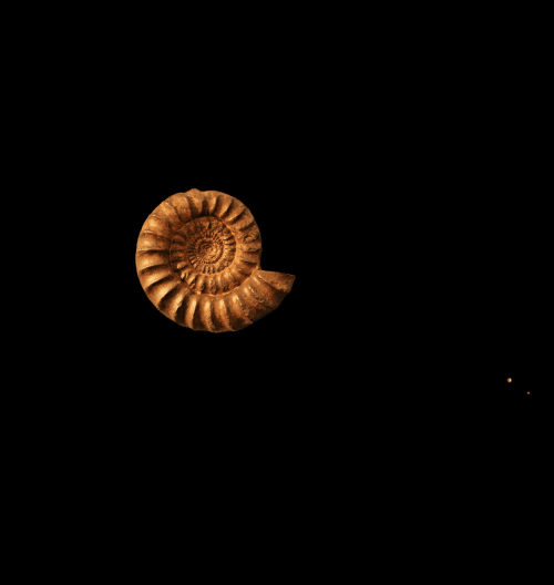 Spinners!