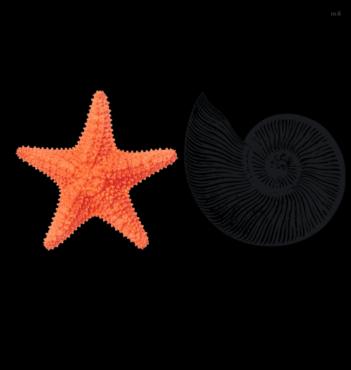 Spinners!