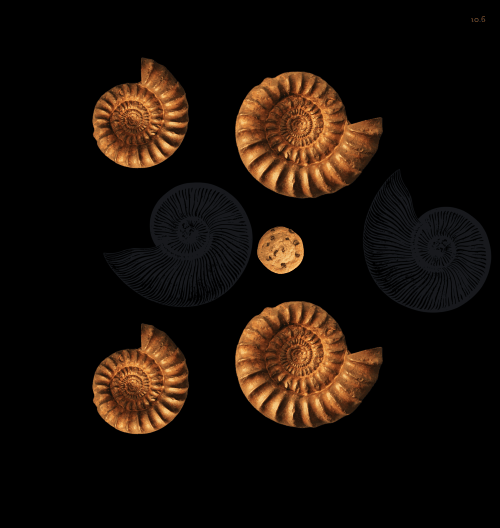 Spinners!