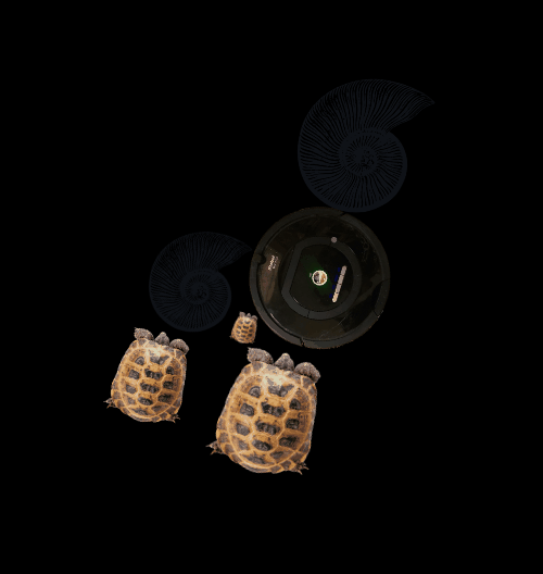 Spinners!