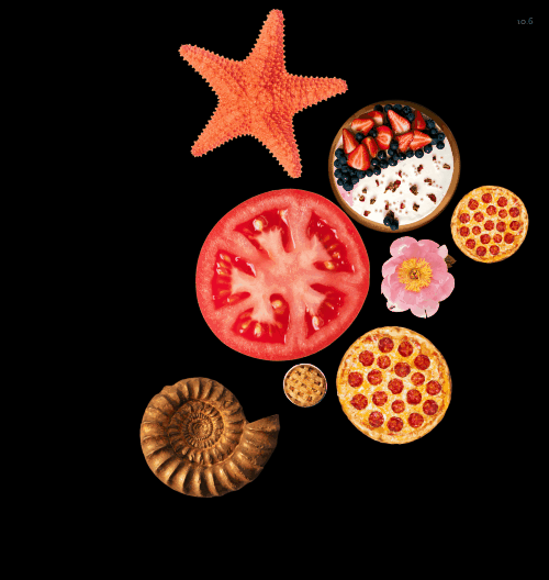 Spinners!